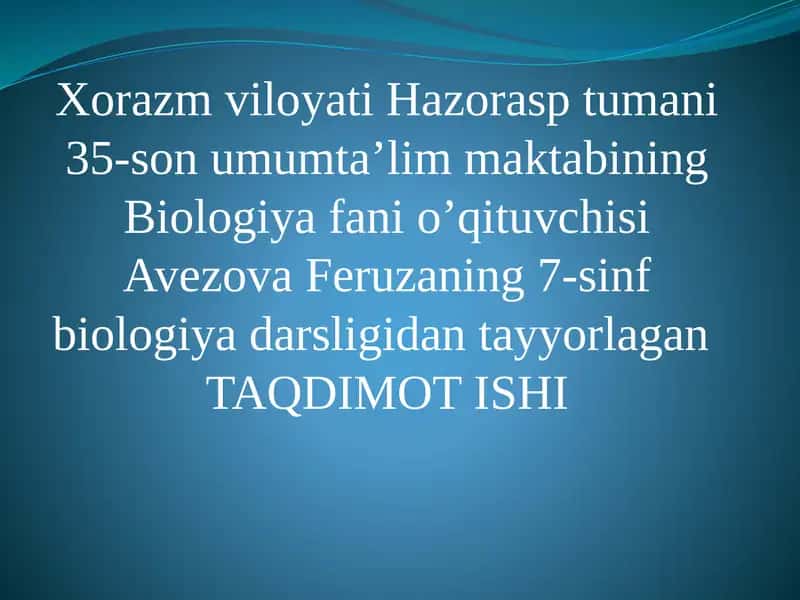 Delfinlar haqida taqdimot 1