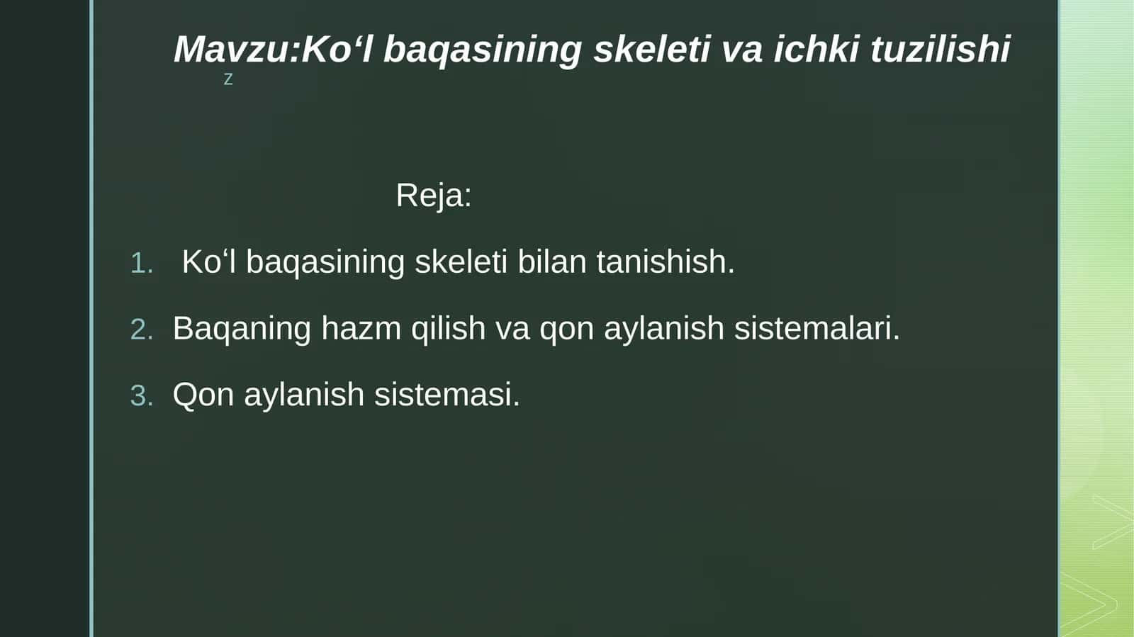 Koʻlbaqasining skeleti va ichki tuzilishi 1