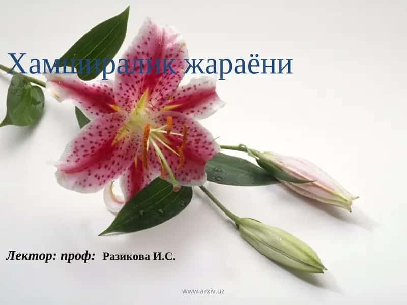 Хамширалик жараёни 1