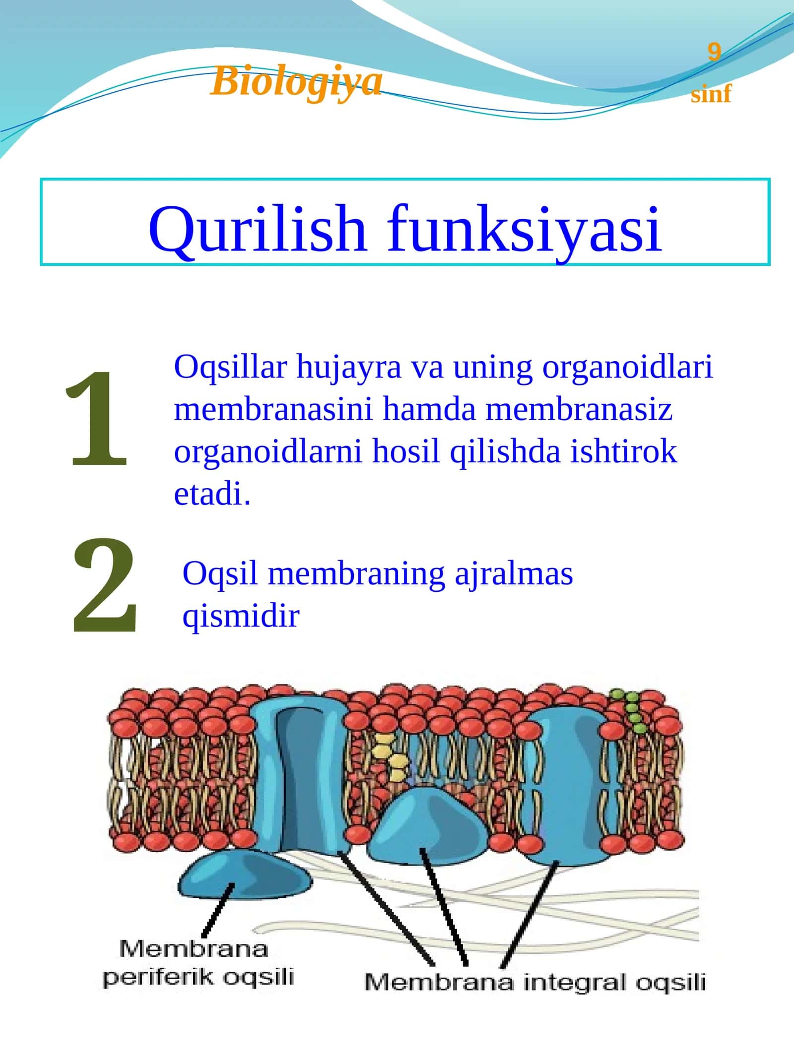 Qurilish funksiyasi 1