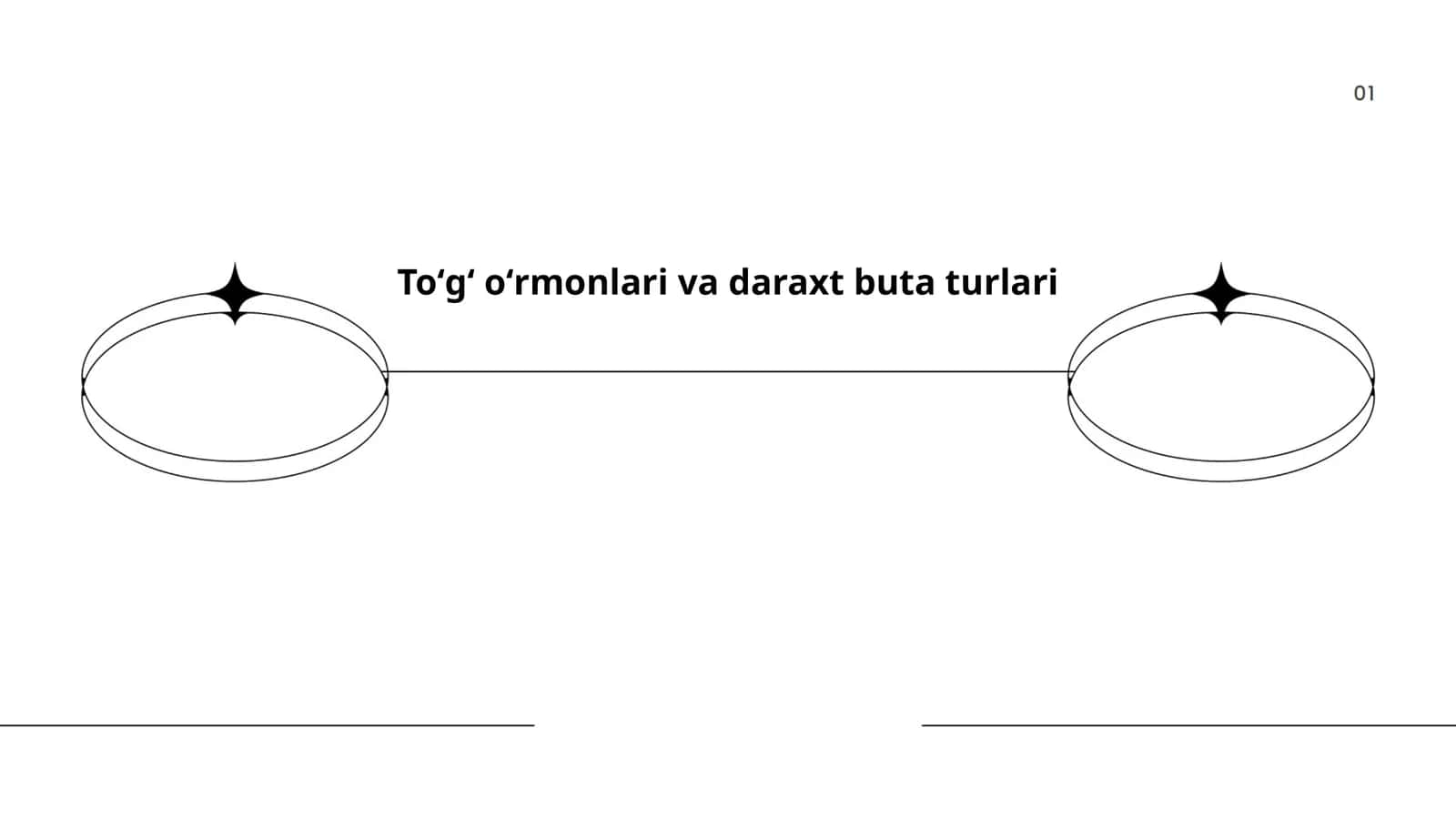 Toʻgʻ oʻrmonlari va daraxt buta turlari 1