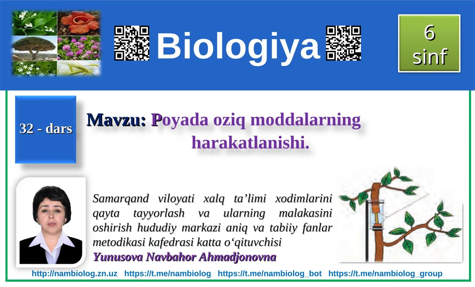 Poyada oziq moddalarning harakatlanishi 1