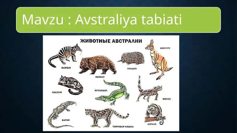 Avstraliya tabiatining o'ziga xos xususiyatlari 1