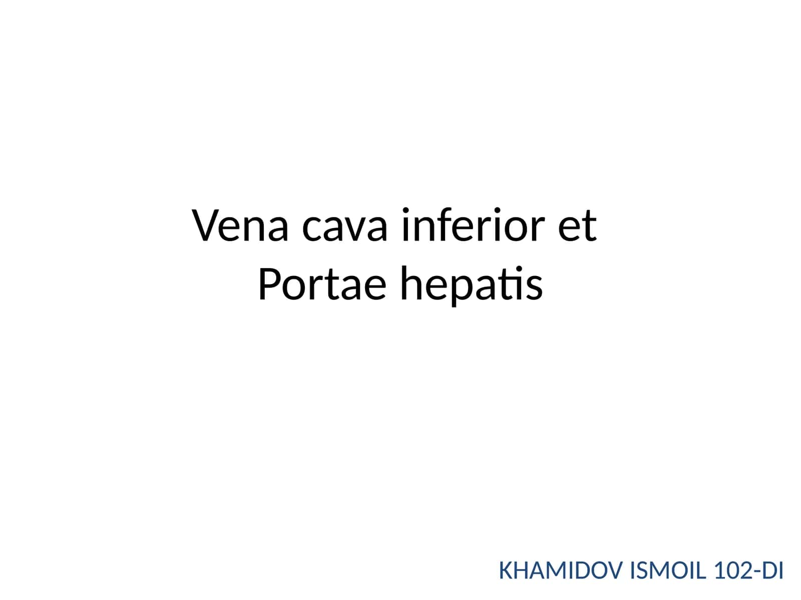 Vena cava inferior etPortaehepatis 1