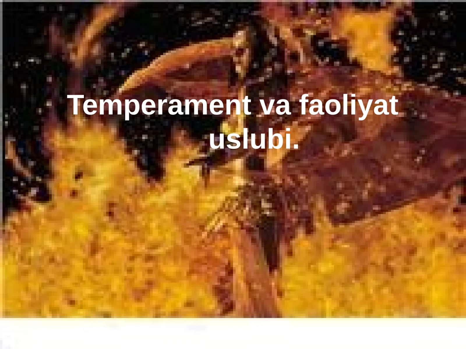 Temperament va faoliyat uslubi 1