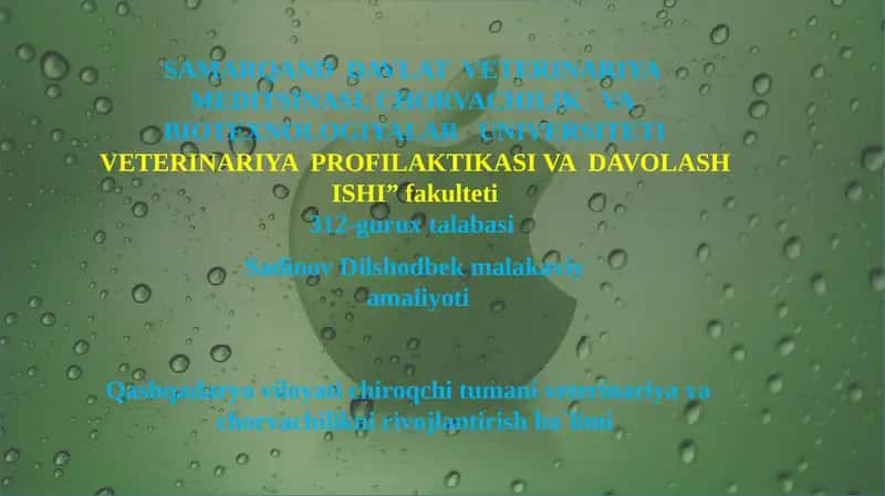 VETERINARIYA PROFILAKTIKASI VA DAVOLASH ISHI 1