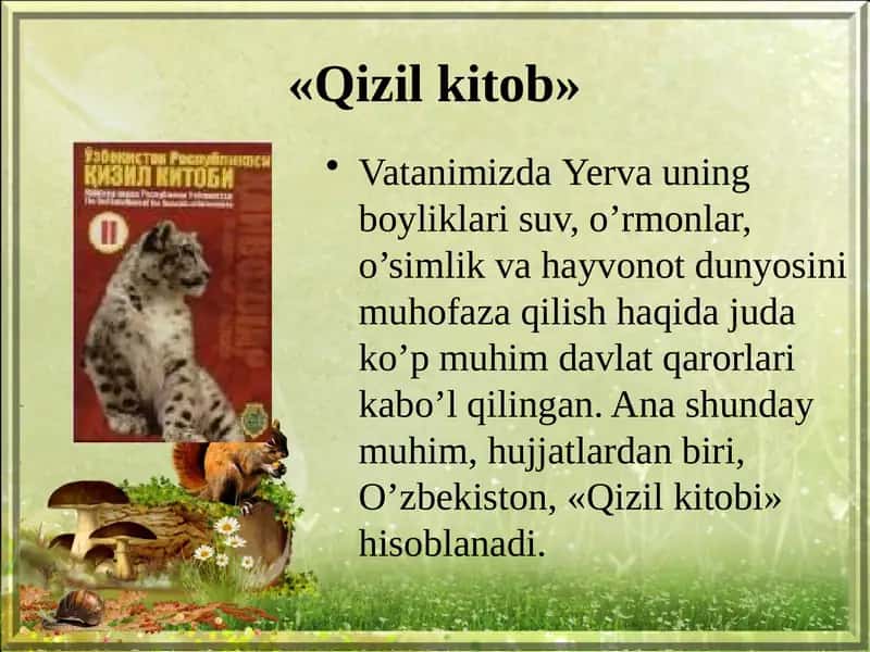 Qizil kitob 1