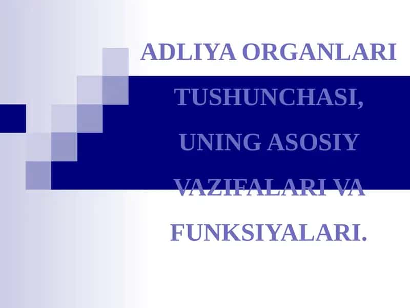 Adliya Organlari Tushunchasi 1