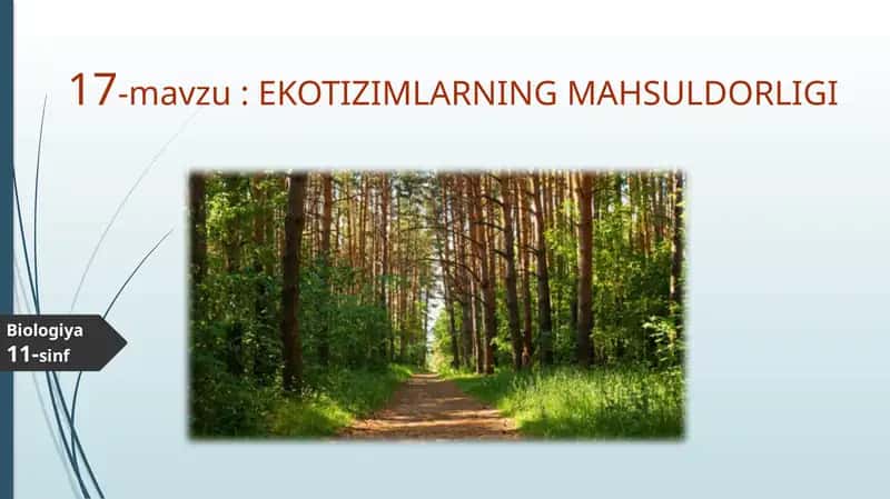 EKOTIZIMLARNING MAHSULDORLIGI 1