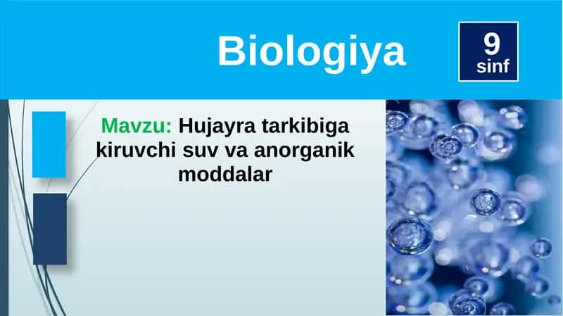 Hujayratarkibigakiruvchisuvvaanorganikmoddalar 1