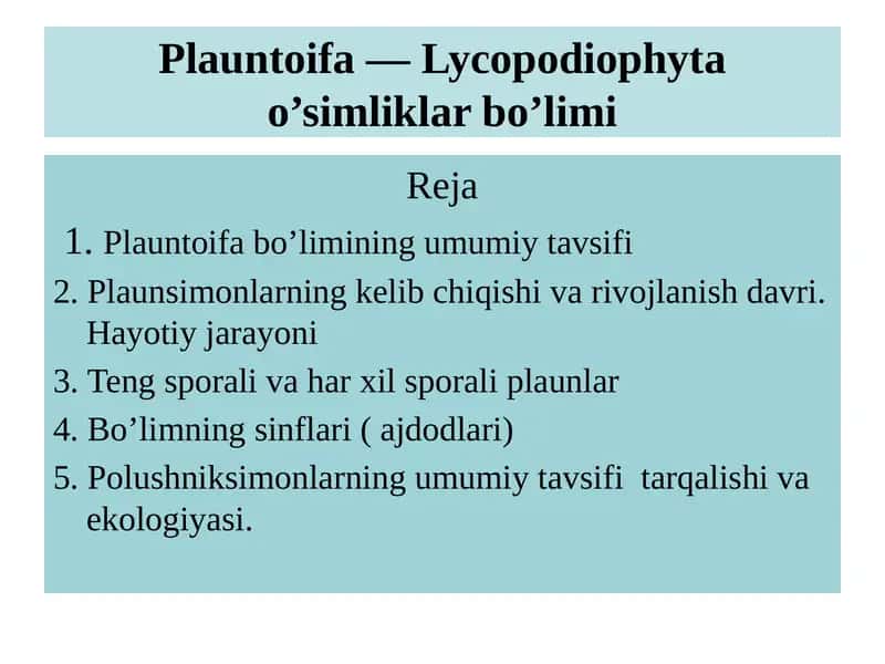 Plauntoifa — Lycopodiophyta o’simliklar bo’limi 1