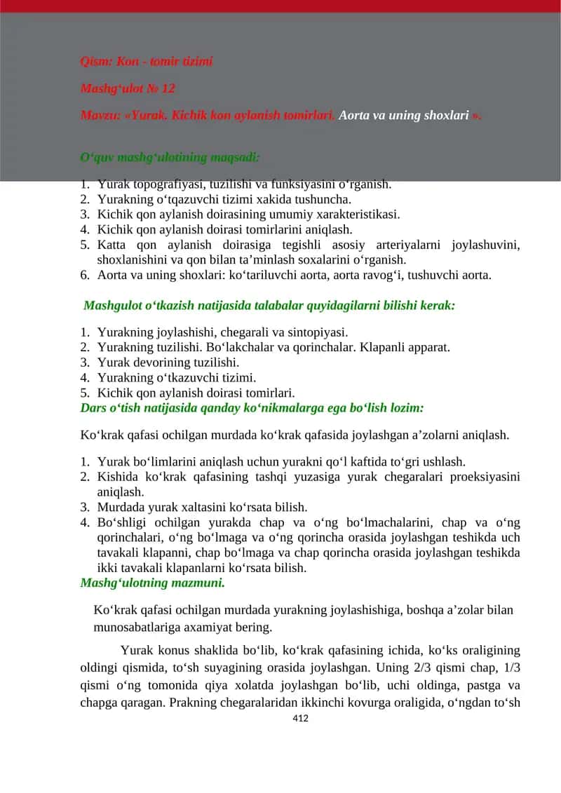 Yurak. Kichik kon aylanish tomirlari. Aorta va uning shoxlari 1