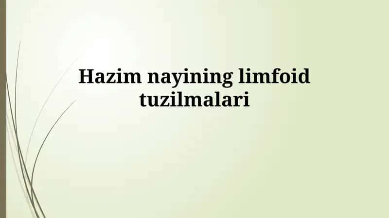 Hazim nayininglimfoidtuzilmalari 1