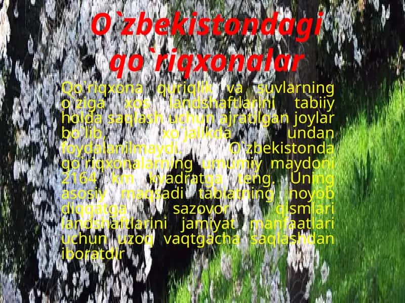 O`zbekistondagi qo`riqxonalar 1