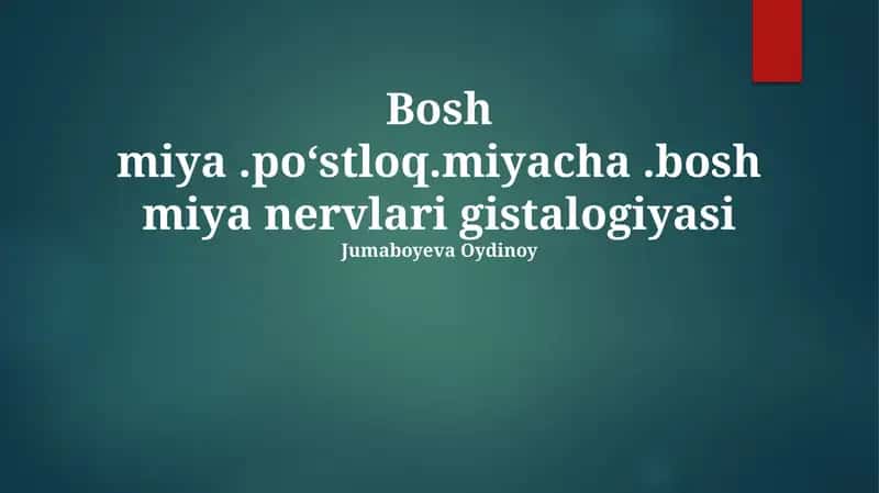 Bosh miya.po‘stloq.miyacha.bosh miya nervlari gistalogiyasi 1