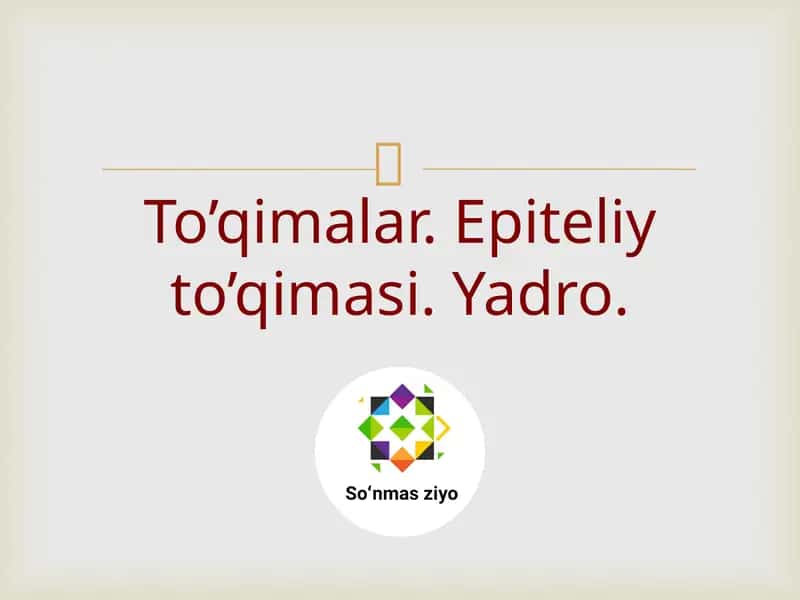 To’qimalar.Epiteliyto’qimasi.Yadro 1