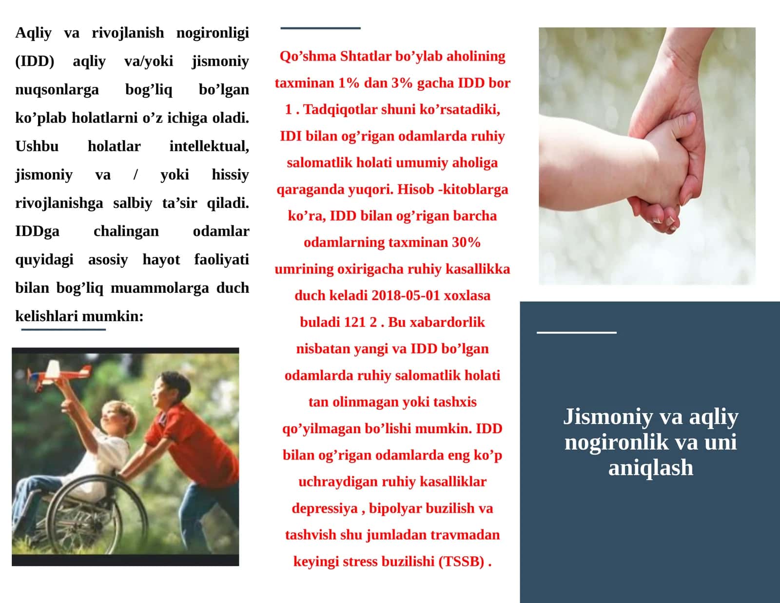 Aqliy va Rivojlanish Nogironligi (IDD) 1