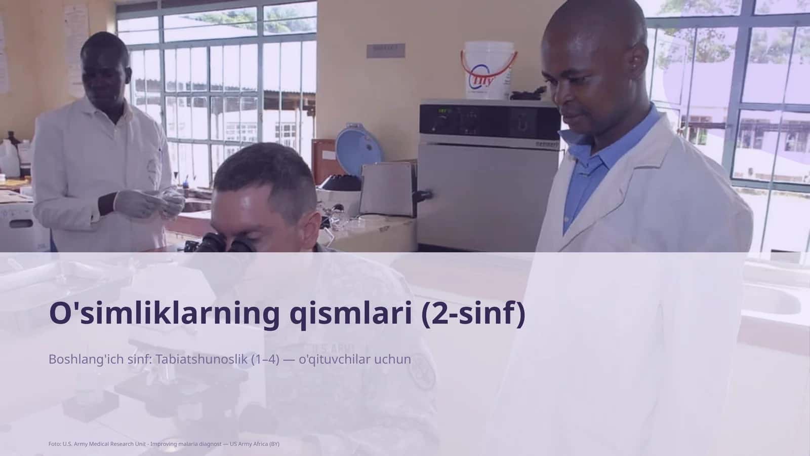 O'simliklarning qismlari (2-sinf) 1