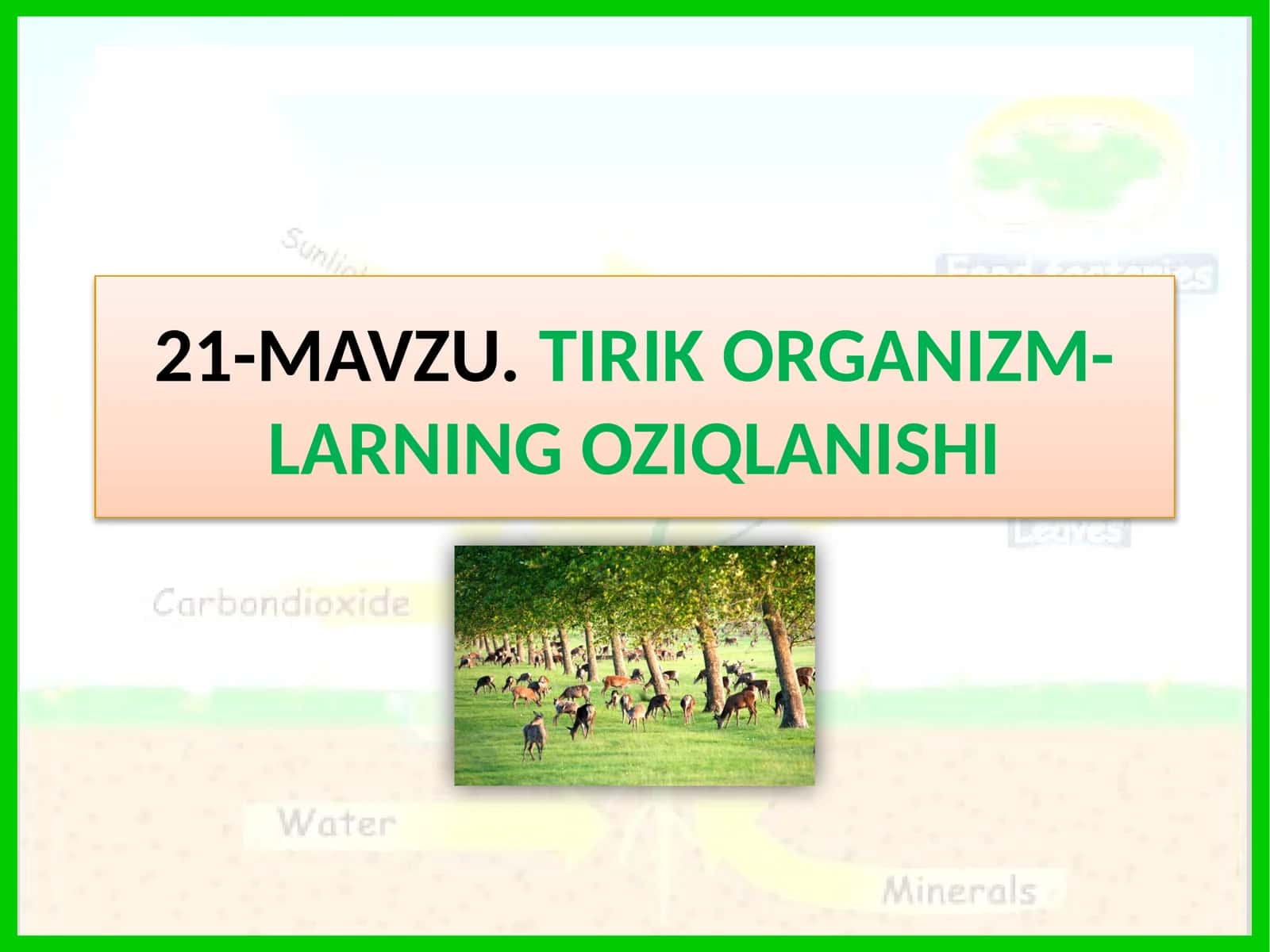 TIRIK ORGANIZM-LARNING OZIQLANISHI 1