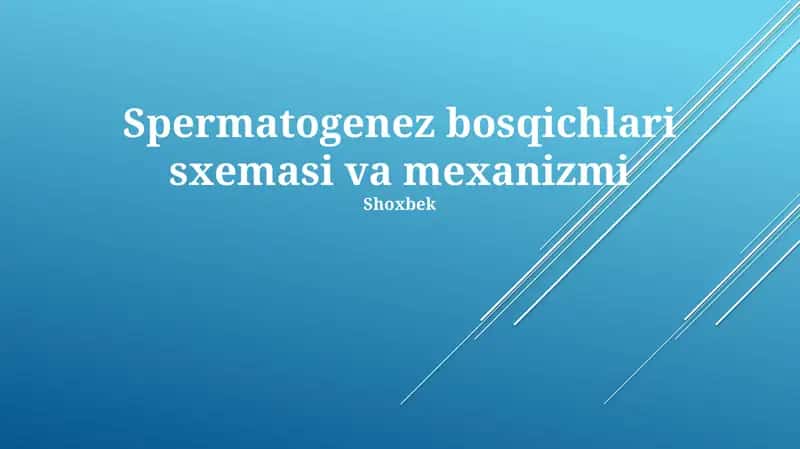 Spermatogenez bosqichlari sxemasi va mexanizmi 1