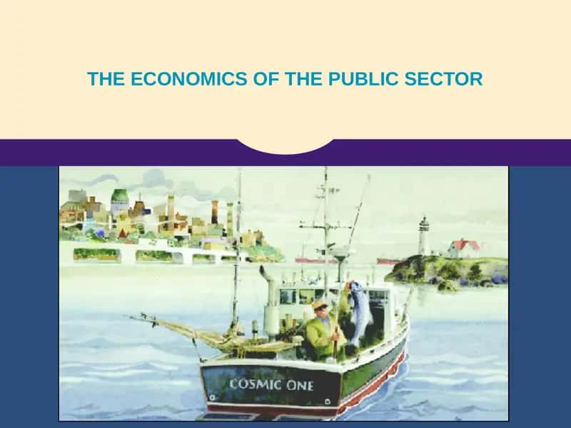 THE ECONOMICS OF THE PUBLIC SECTOR 1