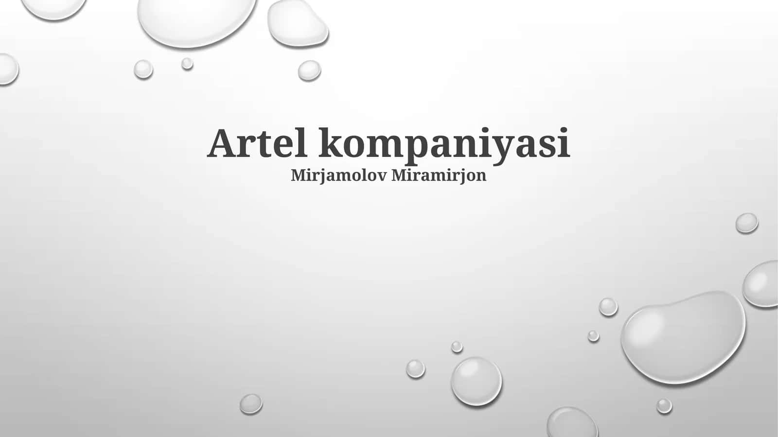Artel kompaniyasi 1