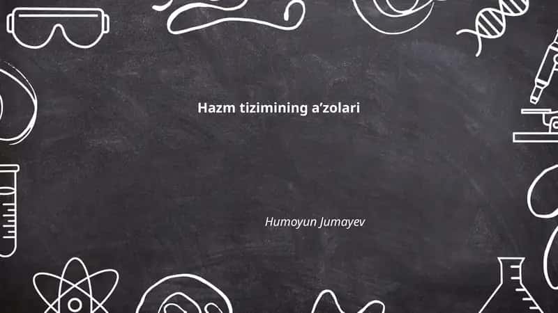 Hazm tizimining aʼzolari 1