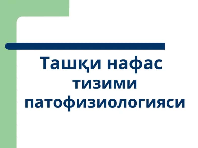 Ташқи нафас тизими патофизиологияси 1