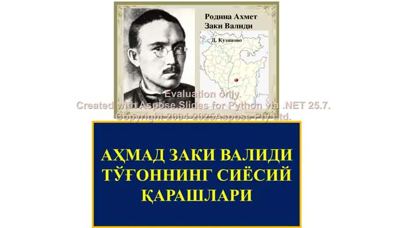 Ahmad Zaki Validi to'g'onning siyosiy qarashlari 1