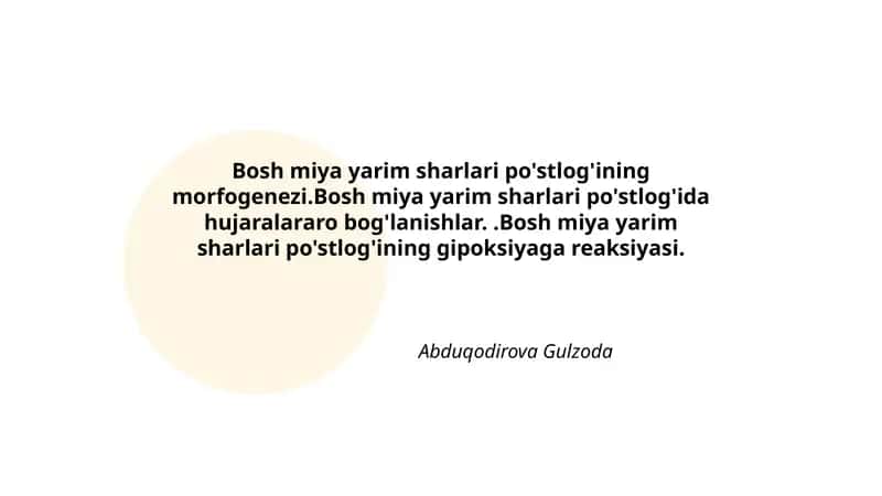 Bosh miya yarim sharlari po'stlog'ining morfogenezi 1