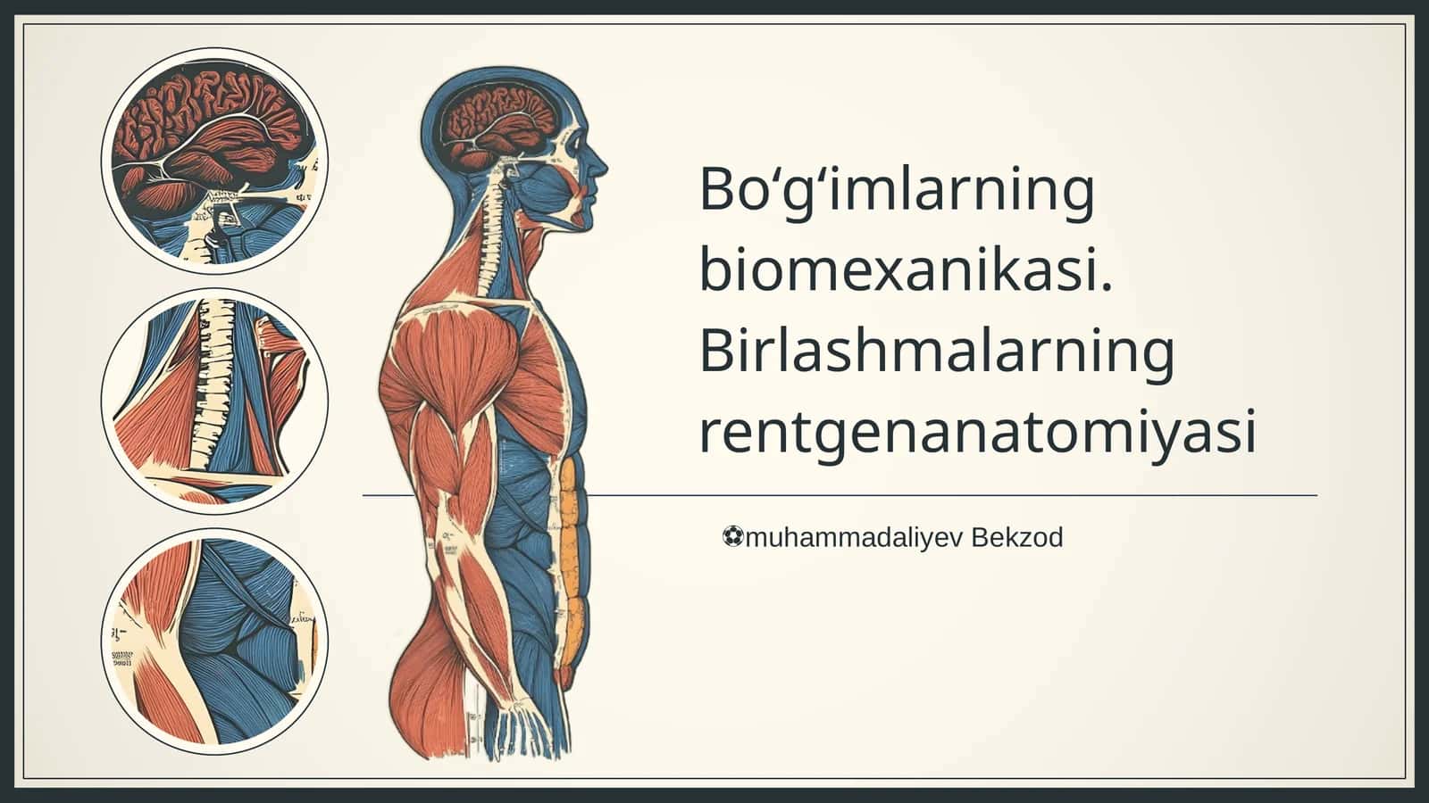 Bo‘g‘imlarning biomexanikasi. Birlashmalarning rentgenanatomiyasi 1