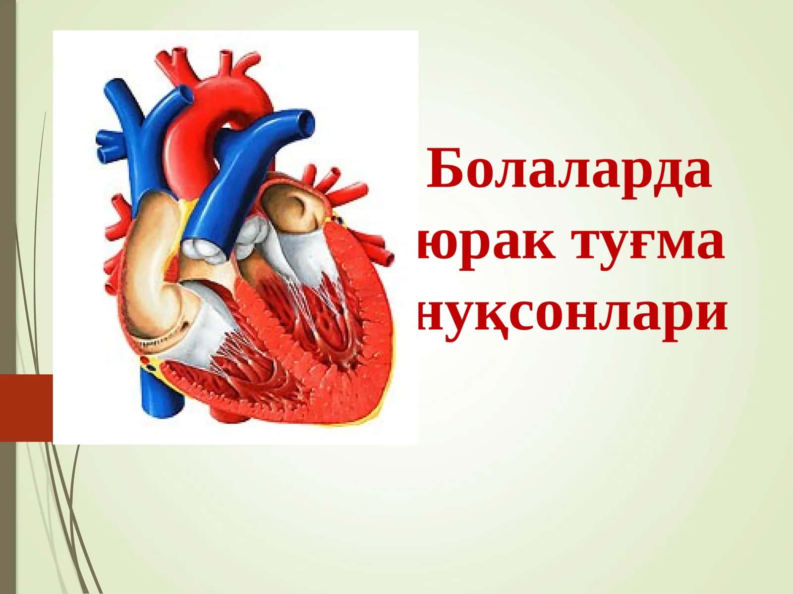 Болаларда юрак туғма нуқсонлари 1