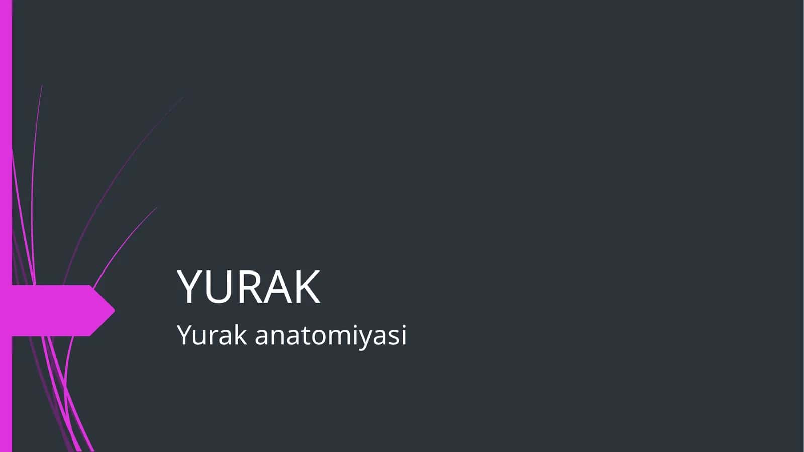 Yurak 1