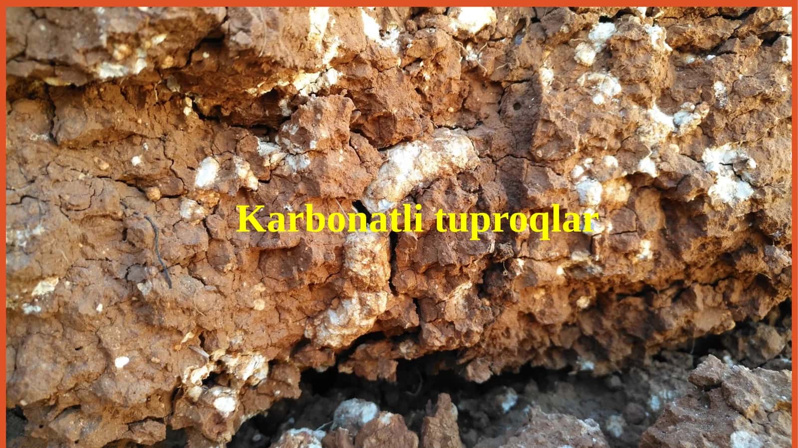 Karbonatli tuproqlar 1