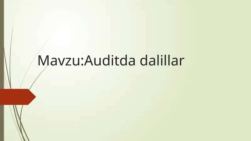 Auditdadalillar 1