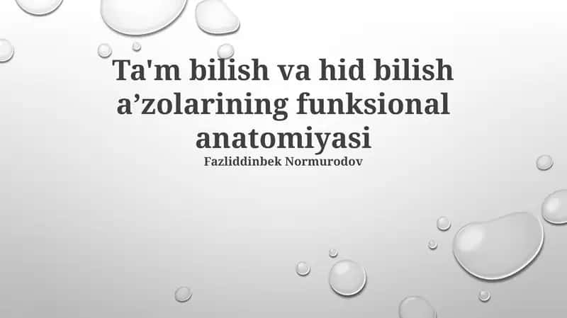 Ta'm bilish va hid bilish aʼzolarining funksional anatomiyasi 1