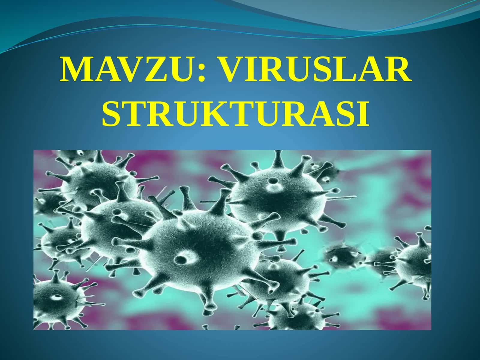 VIRUSLAR STRUKTURASI 1