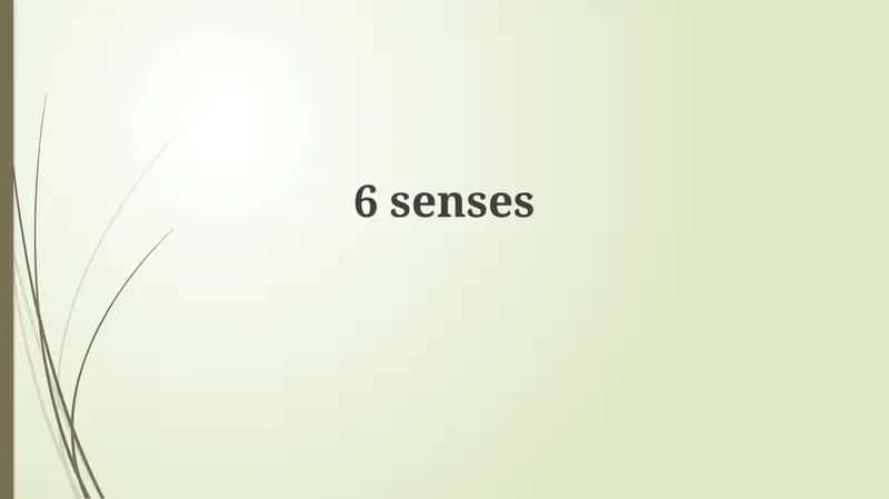 Beyond the Traditional Five: Unveiling Our Sensory World 1