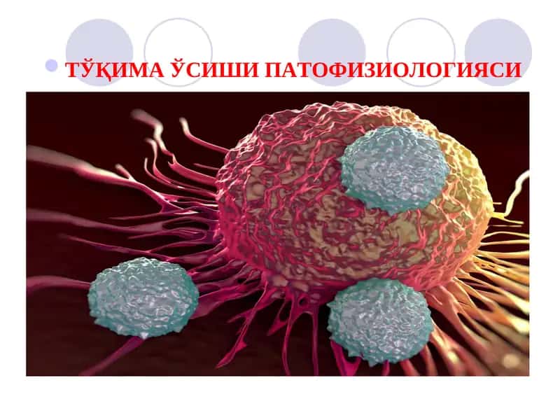 ТЎҚИМА ЎСИШИ ПАТОФИЗИОЛОГИЯСИ 1