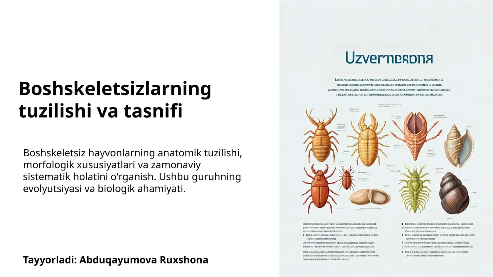 Boshskeletsizlarning tuzilishi va tasnifi 1