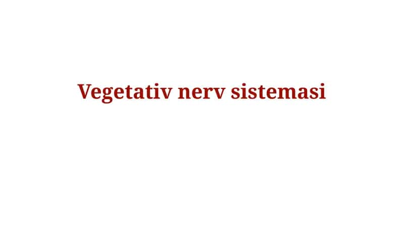 Avtonom nerv sistemasi anatomiyasi 1