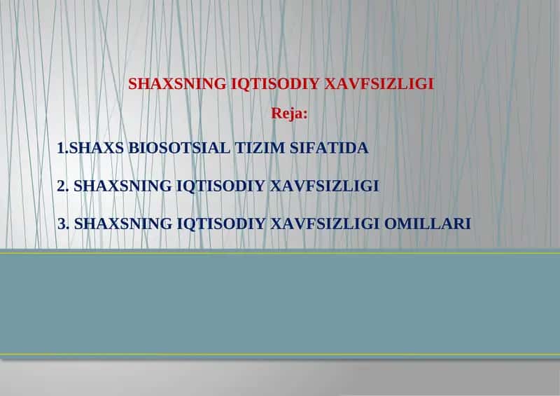 SHAXSNING IQTISODIYXAVFSIZLIGI 1