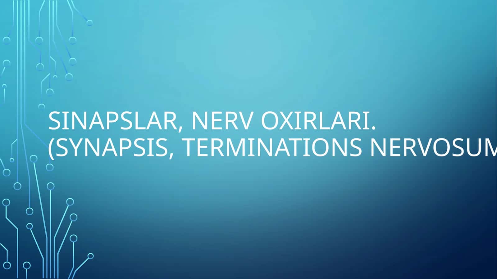 Sinapslar, nerv oxirlari 1