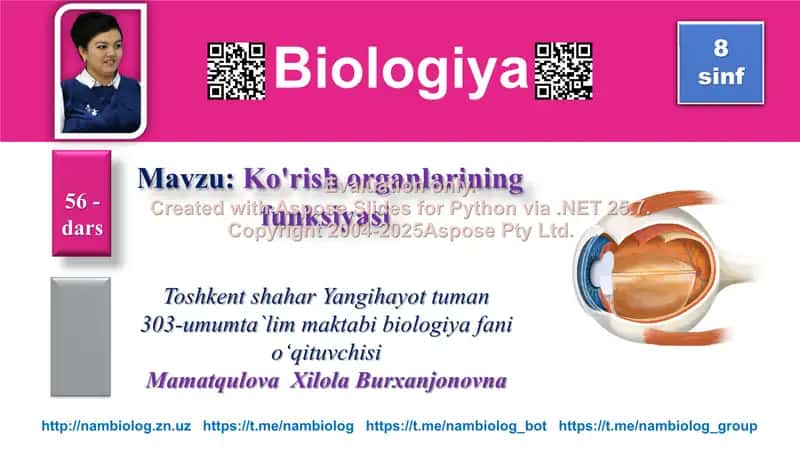 Ko'zning funksiyasi 1