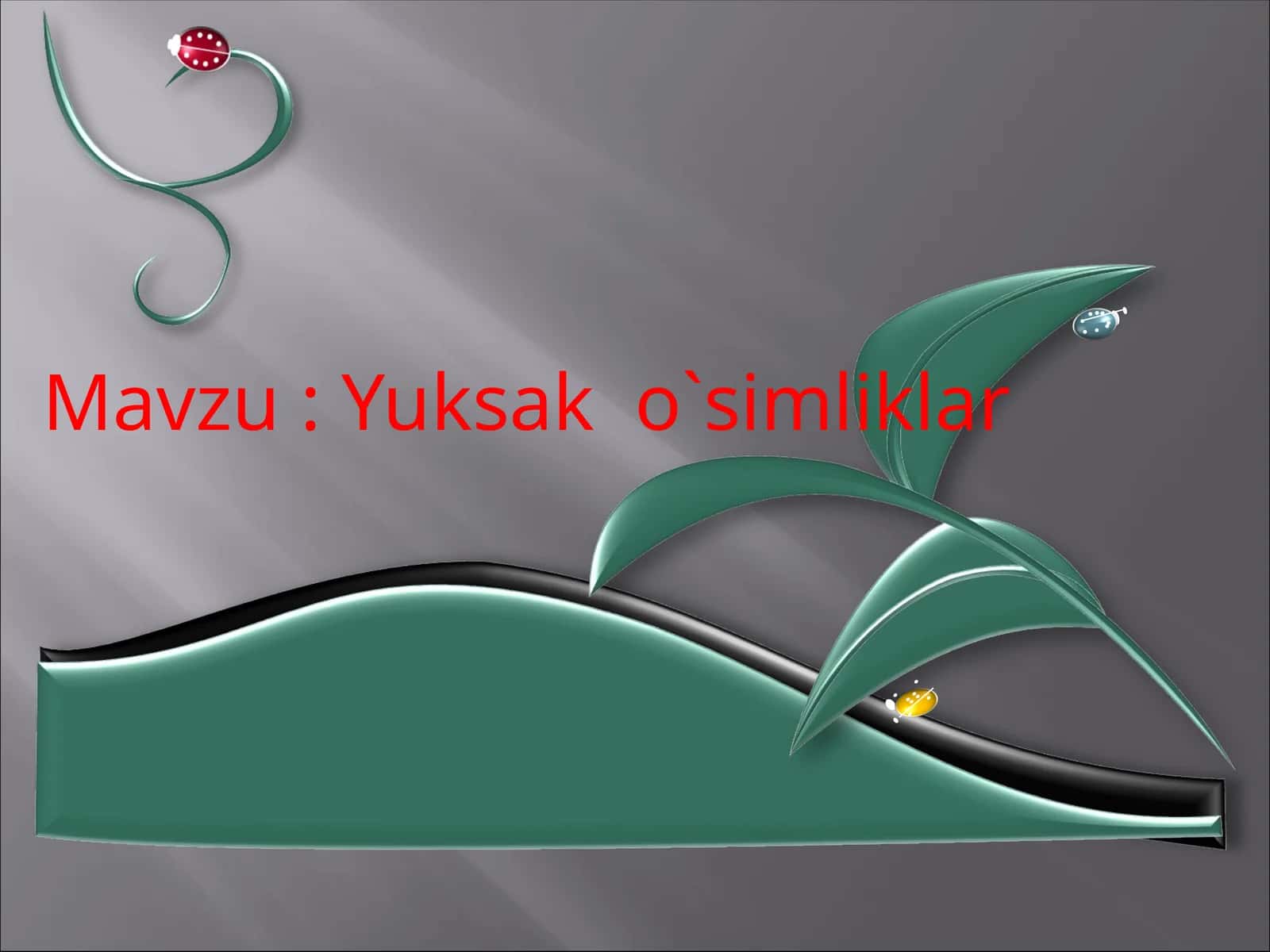 Yuksak o`simliklar 1
