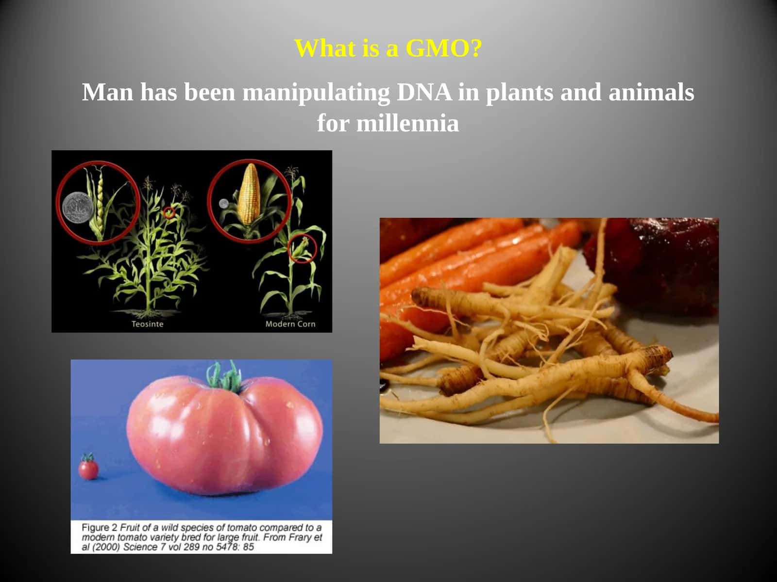 What is a GMO? 1