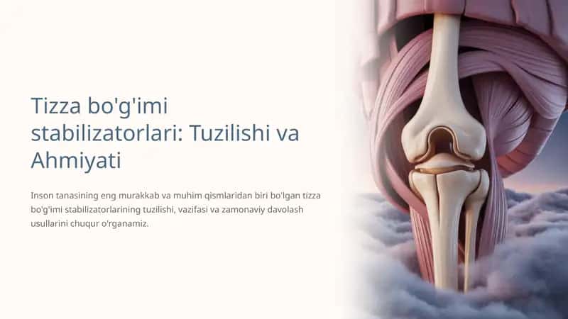 Tizza bo'g'imi stabilizatorlari: Tuzilishi va Ahmiyati 1