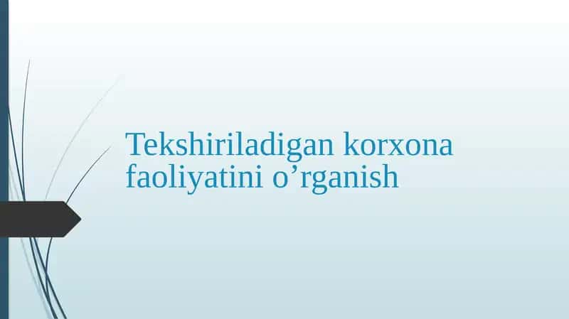 Tekshiriladigan korxona faoliyatini o‘rganish 1
