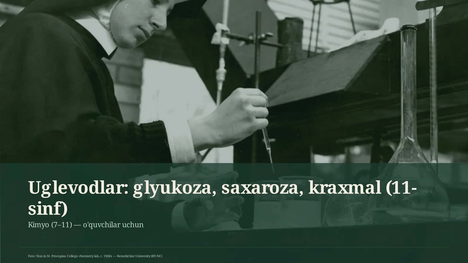 Uglevodlar: glyukoza, saxaroza, kraxmal (11-sinf) 1