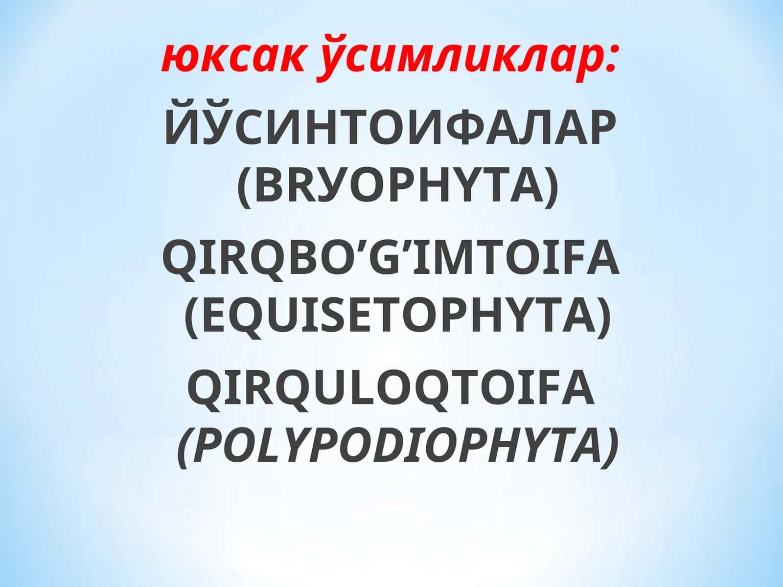 Юксак ўсимликлар 1